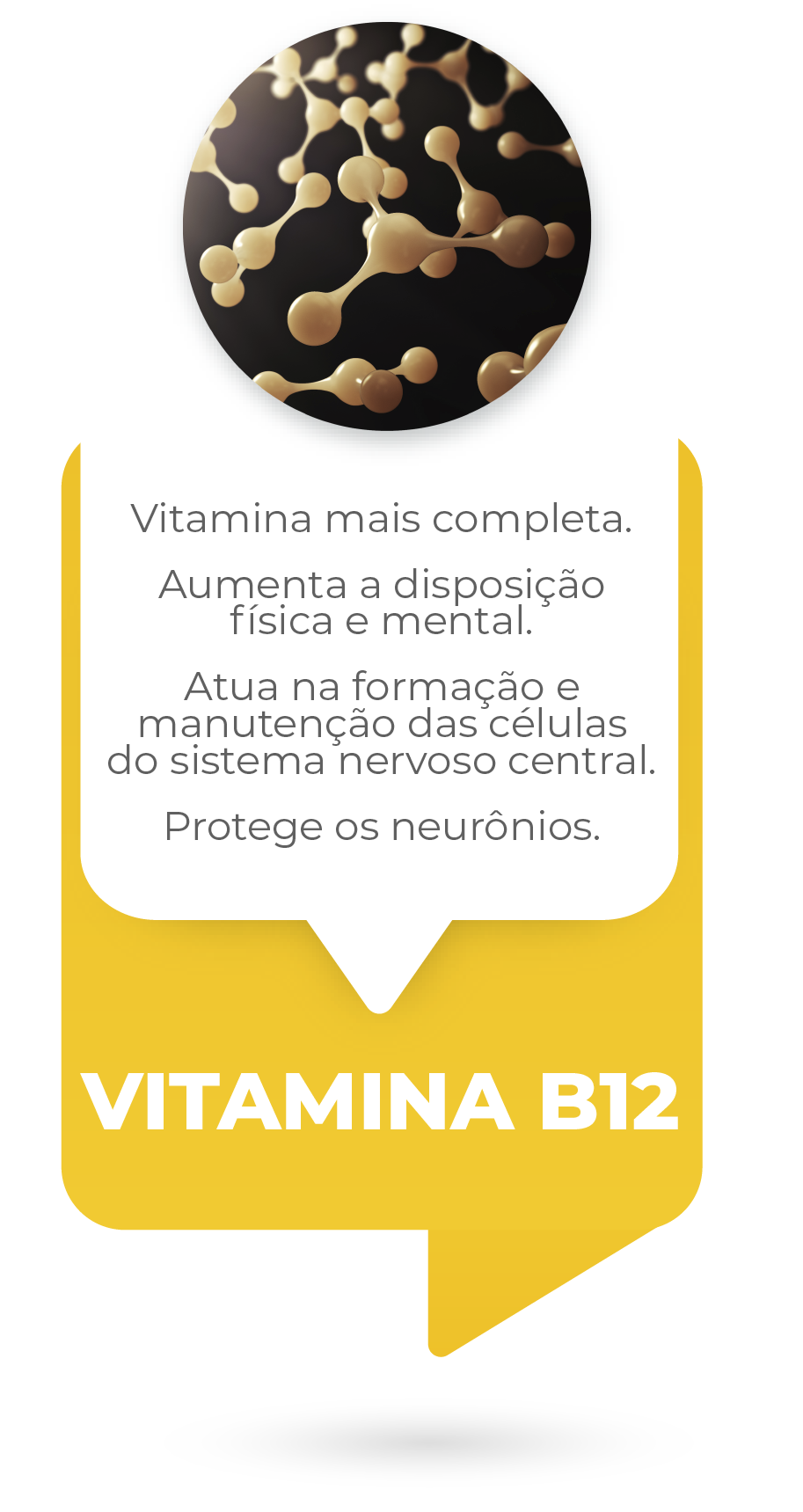 Barra site 220w Ingredientes vitamina b12 versão 3